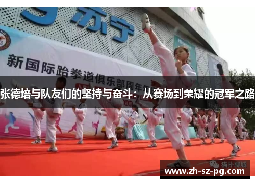 张德培与队友们的坚持与奋斗：从赛场到荣耀的冠军之路