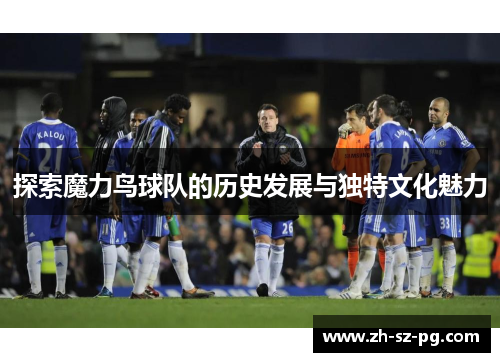 探索魔力鸟球队的历史发展与独特文化魅力