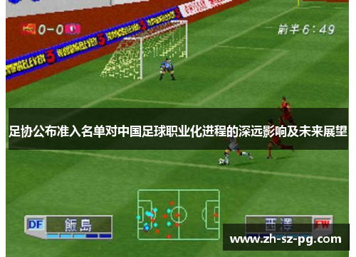 足协公布准入名单对中国足球职业化进程的深远影响及未来展望