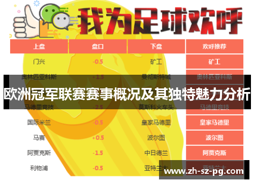 欧洲冠军联赛赛事概况及其独特魅力分析