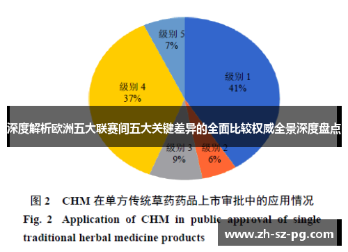 深度解析欧洲五大联赛间五大关键差异的全面比较权威全景深度盘点