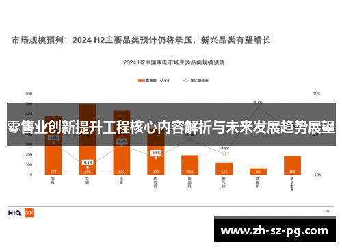 零售业创新提升工程核心内容解析与未来发展趋势展望