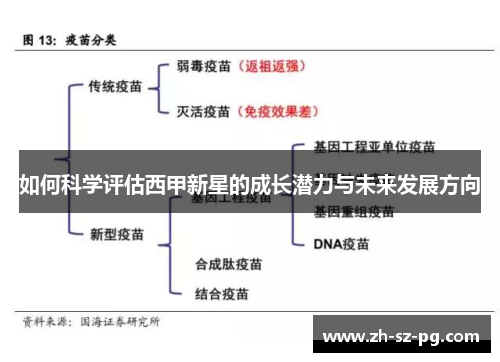 如何科学评估西甲新星的成长潜力与未来发展方向