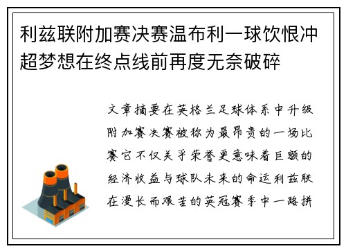 利兹联附加赛决赛温布利一球饮恨冲超梦想在终点线前再度无奈破碎 利兹联附加赛决赛温布利一球饮恨冲超梦想在终点线前再度无奈破碎