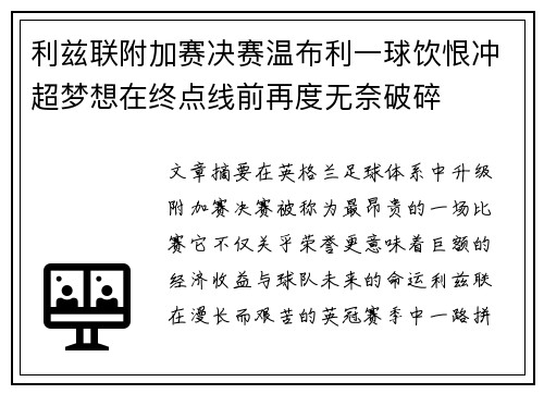 利兹联附加赛决赛温布利一球饮恨冲超梦想在终点线前再度无奈破碎